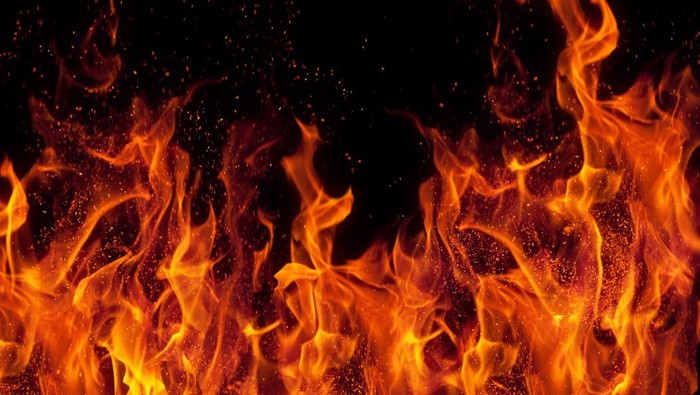 Kebakaran Alang-alang 30 Hektare di Rorotan Diduga Sengaja Dibakar