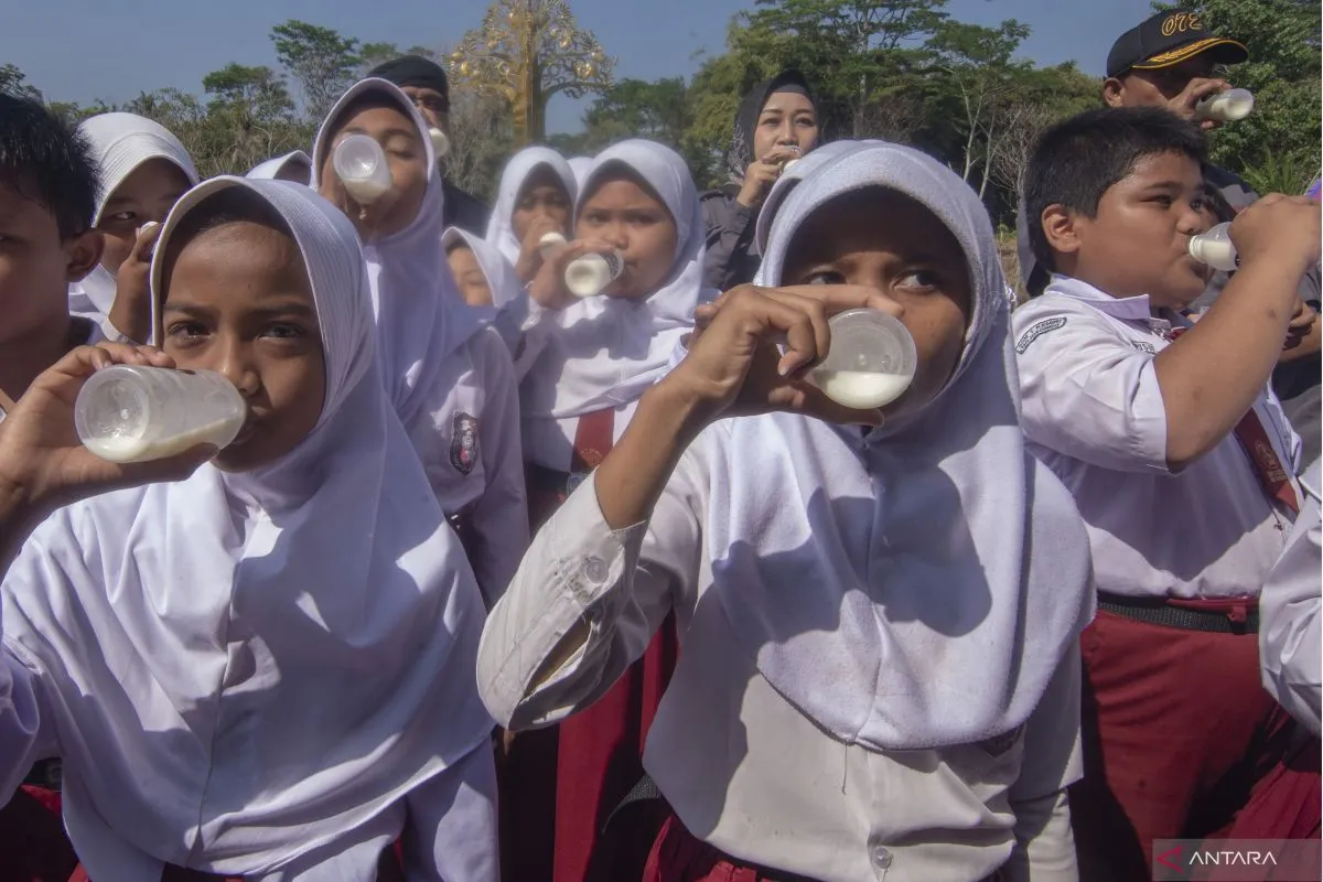 Dari Pengaruh Iklan Menuju Kesadaran Gizi, Keluarga Diajak Lebih Cermat Memilih Makanan