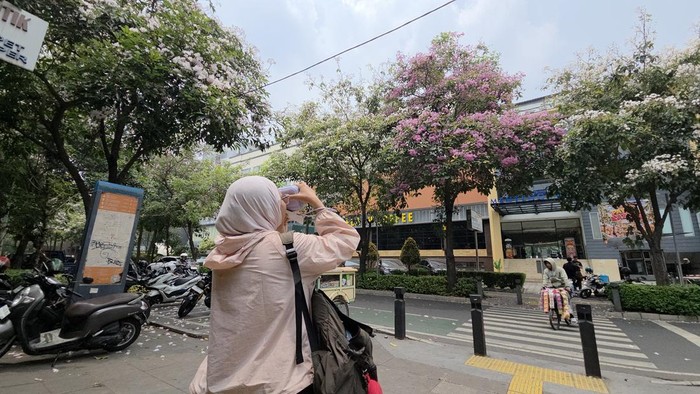 Warga Antusias Berburu Foto ala Korea di Cikini, Bunga Tabebuya Bermekaran Percantik Jakarta